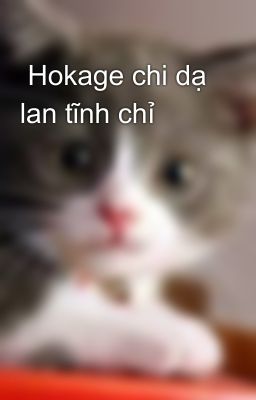  Hokage chi dạ lan tĩnh chỉ