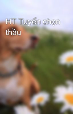 HT Tuyển chọn thầu