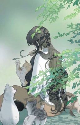 [HxH] Giấc mộng Nam Kha