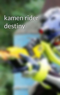 kamen rider destiny