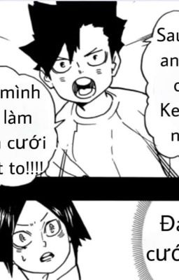 [KenKuroo] Fic KenKuroo|Haikyuu| Tình yêu chíp bông