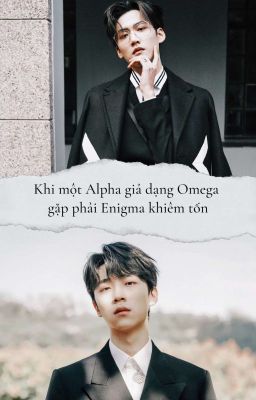 Khi một Alpha giả dạng Omega gặp phải Enigma khiêm tốn