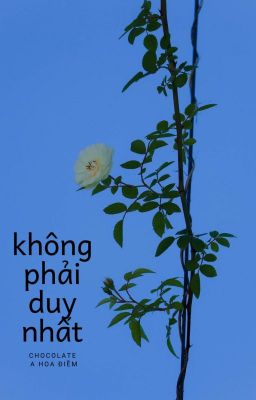 Không Phải Duy Nhất - Chocolate A Hoa Điềm