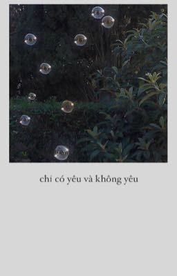 kl ; chỉ có yêu và không yêu