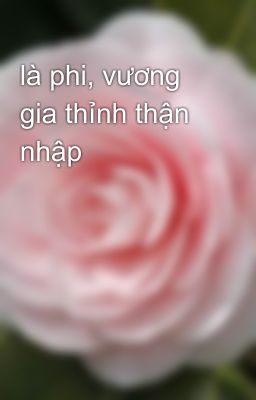 là phi, vương gia thỉnh thận nhập