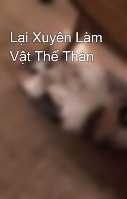 Lại Xuyên Làm Vật Thế Thân