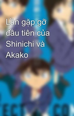 Lần gặp gỡ đầu tiên của Shinichi và Akako