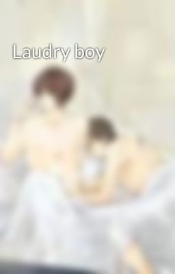 Laudry boy