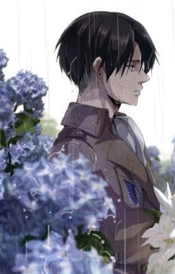 (Levi x Eren) Coporal's Love