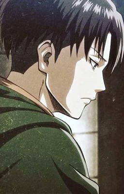 LEVI X YOU ( ONESHOTS )