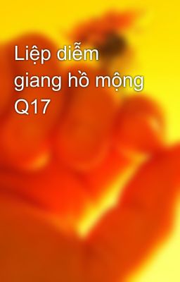 Liệp diễm giang hồ mộng Q17