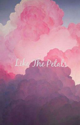 Like the petals | PanWink 