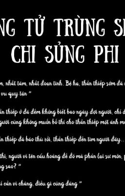 LONG TỬ TRÙNG SINH CHI SỦNG PHI [ HOÀN ]