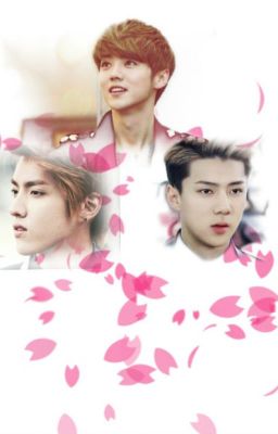 [Longfic] [HunHan, KrisHan] Chẳng ai mãi ở nơi này