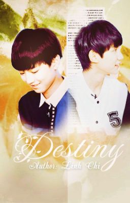 [Longfic Khải Nguyên]  Destiny