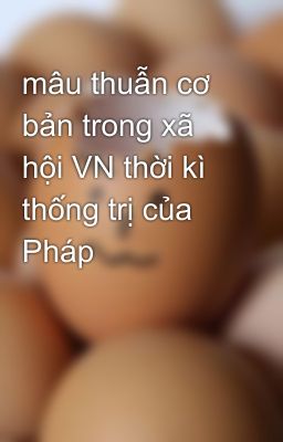 mâu thuẫn cơ bản trong xã hội VN thời kì thống trị của Pháp