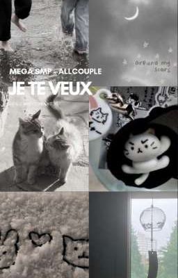 mega smp - allcouple | je te veux.