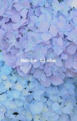 meine Liebe (allkook)