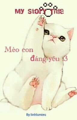 Mèo Con Đáng Yêu :3