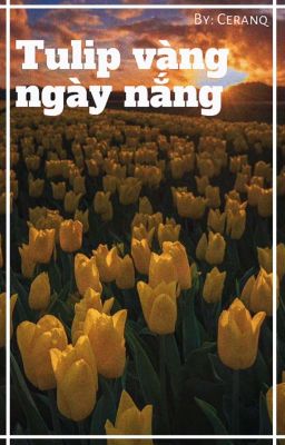 [MikeToptap] Tulip vàng ngày nắng