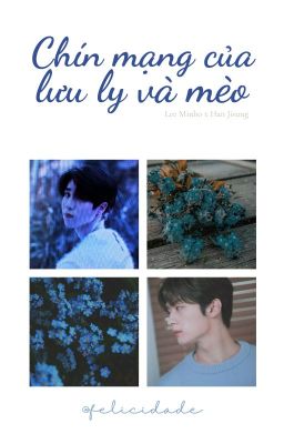 minsung • chín mạng của lưu ly và mèo