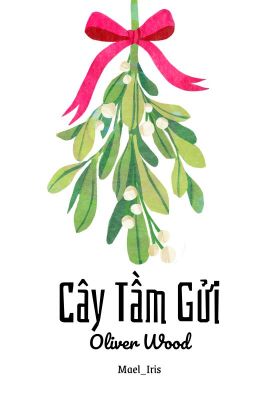 Mistletoe - Cây tầm gửi