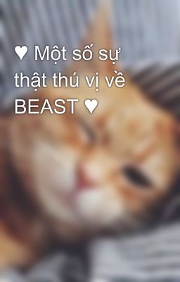 ♥ Một số sự thật thú vị về BEAST ♥