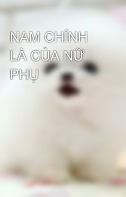 NAM CHÍNH LÀ CỦA NỮ PHỤ