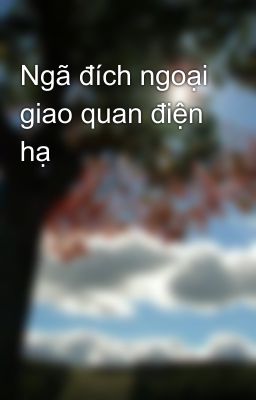 Ngã đích ngoại giao quan điện hạ