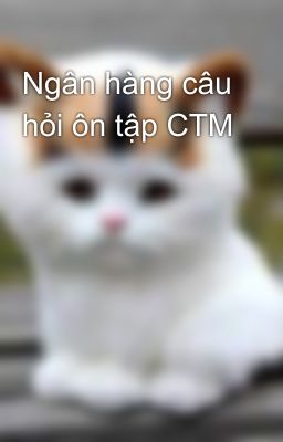 Ngân hàng câu hỏi ôn tập CTM