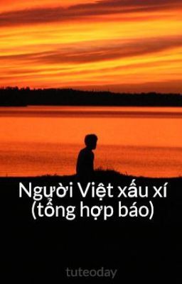 Người Việt xấu xí (tổng hợp báo)