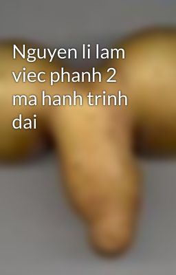 Nguyen li lam viec phanh 2 ma hanh trinh dai