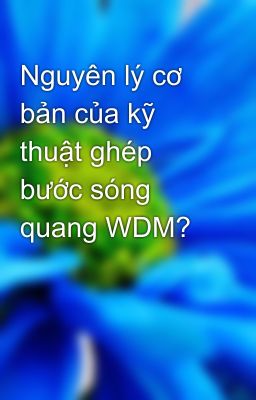 Nguyên lý cơ bản của kỹ thuật ghép bước sóng quang WDM?