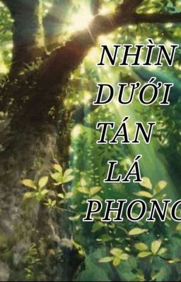 Nhìn dưới tán lá phong