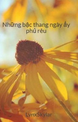 Những bậc thang ngày ấy phủ rêu