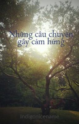 Những câu chuyện gây cảm hứng