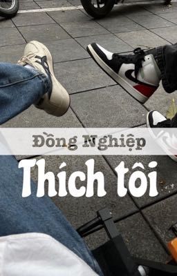 | Ninh Dương | Đồng Nghiệp Thích Tôi