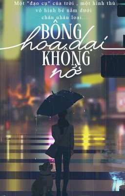 | Nữ phụ văn | Bông hoa dại không nở