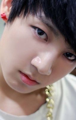 Ở đây ngoài tui ra có ai đéo ưu thằng đỉ chó Jungkook không