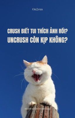 [ON2EUS] Crush biết tui thích ảnh rồi? Uncrush còn kịp không?