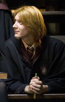 Oneshort - Fred Weasley × Reader [Harry Potter] 