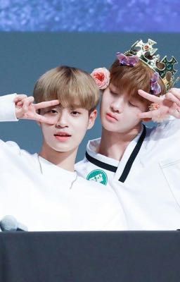 [Oneshot] [BaeHwi] BaeJin ơi, anh có thích....