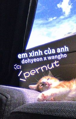 pernut 𓈒ㅤׂㅤ𐙚  park dohyeon và em xinh của ảnh