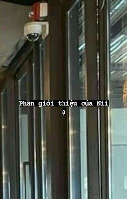 Phần Giới Thiệu Và Thông Báo Của Nii