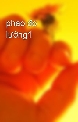 phao đo lường1