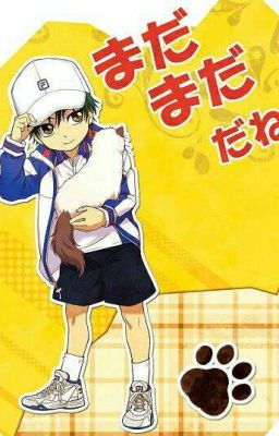 《POT》Khi Echizen Ryoma bị teo nhỏ