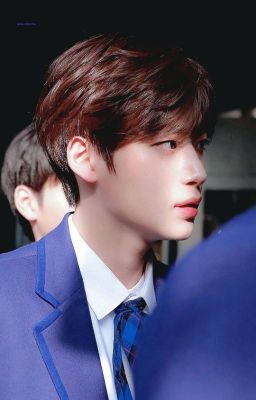 produce x 101 » _JIMΔGRΔM