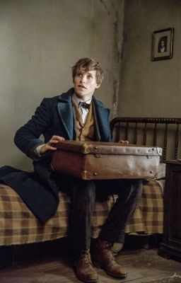 [QT] Fantastic Beasts Đồng Nhân