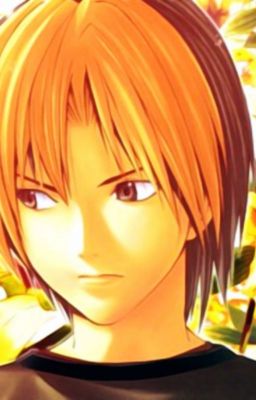 [QT] Tổng hợp Hikaru no Go (Kỳ thủ cờ vây) Đồng nhân