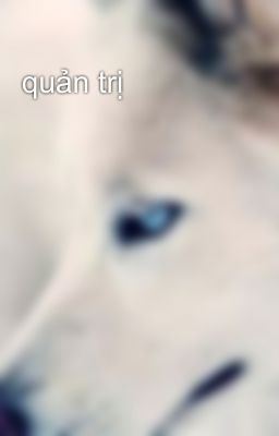 quản trị